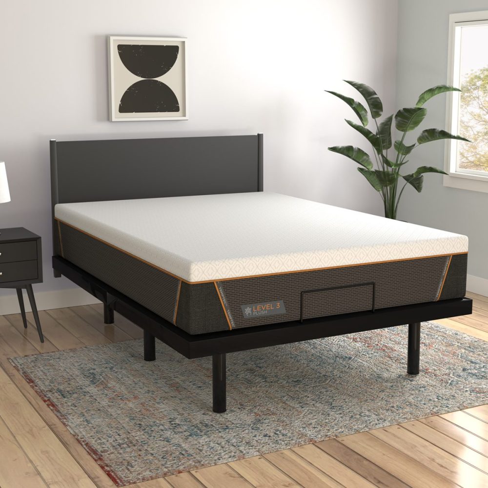 Motion 500 Adjustable Base by GLIDEAWAY Martin's Furniture US